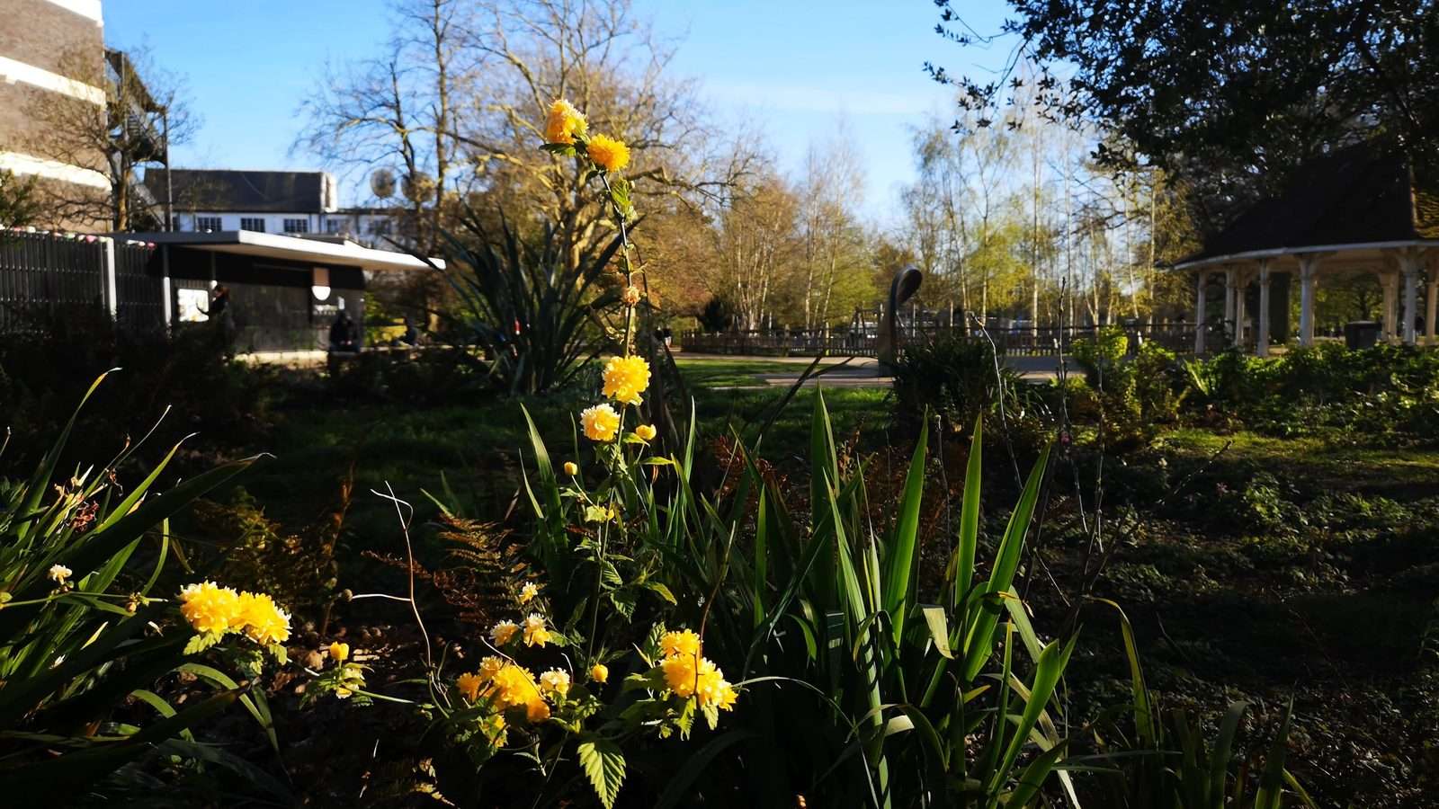 Garden in a London city park