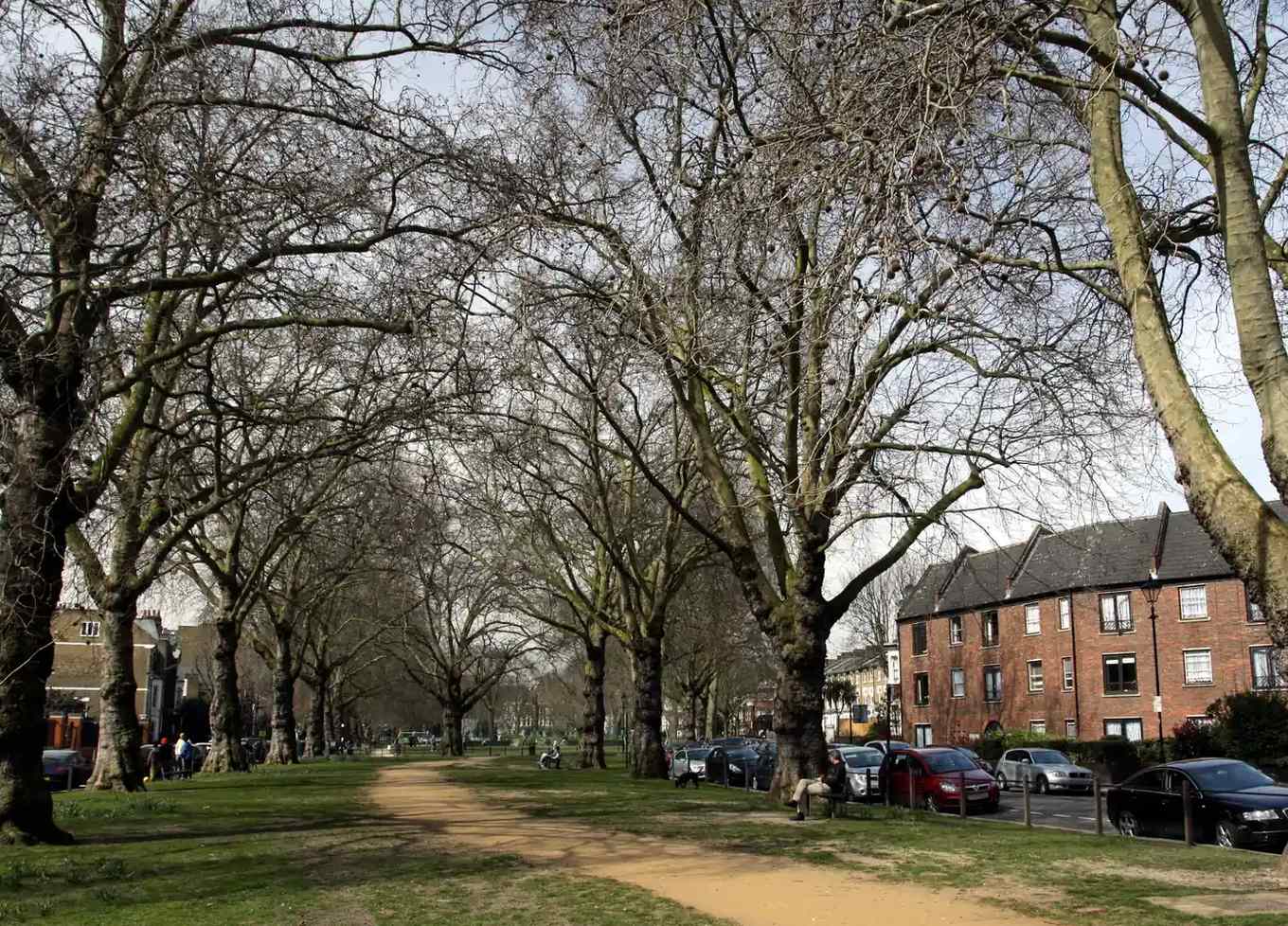 Brook Green park path lined with plane trees and terraced houses, Hammersmith
