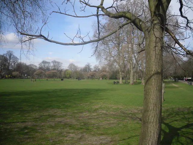Ravenscourt Park looking north across lawns and trees