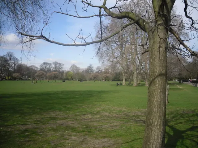 Ravenscourt Park